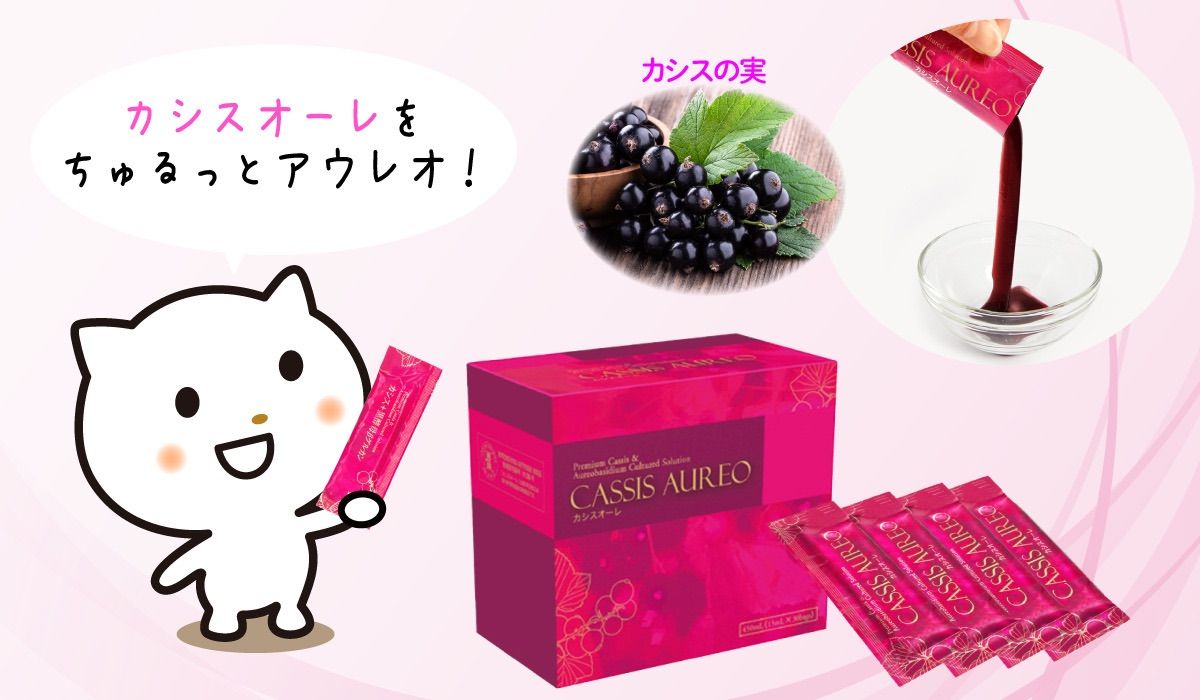 カシスオーレ 450mL (15mL×30袋) 【公式通販】