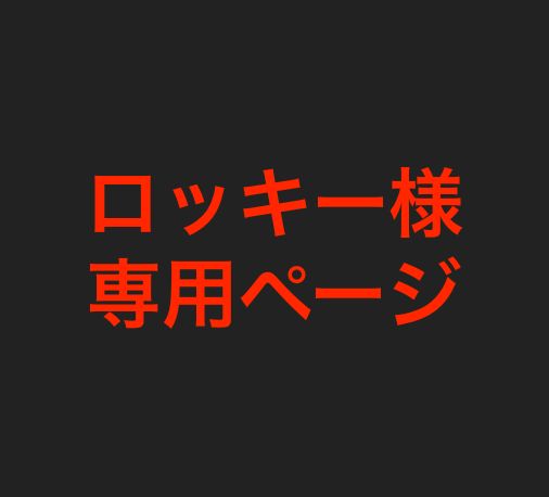 即納低価ロッキーちゃん様専用・.。*・.。* アクセサリー