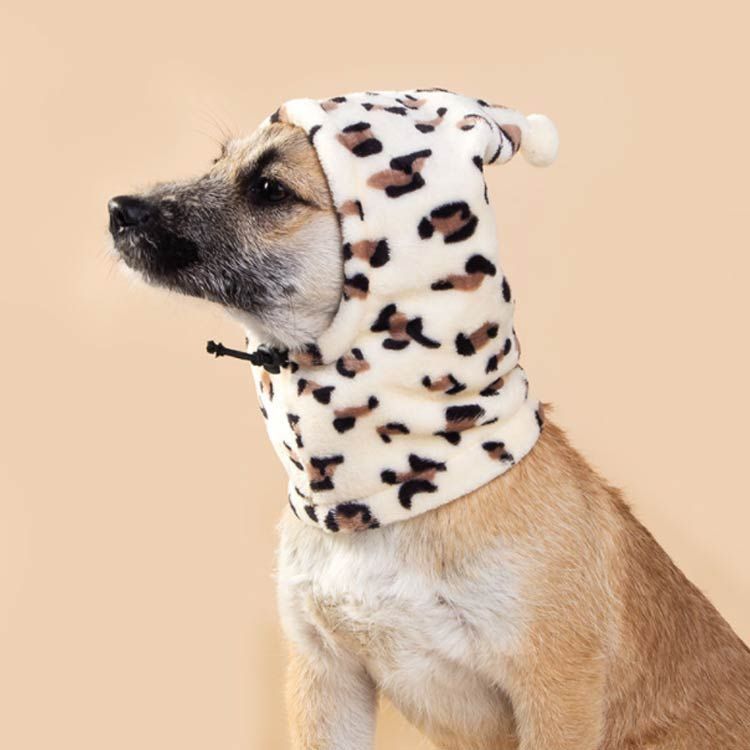 motto_dog 01 / CORDURA モットドッグ + 冬の装いマフラー motto_dog 01 心地好く / CORDURA モットドッグ 冬の装いマフラー