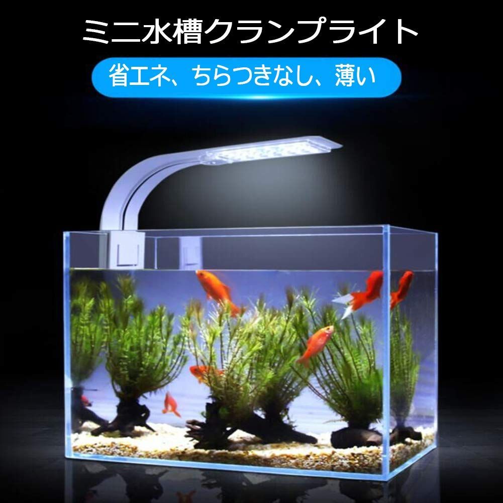 アクアリウム ✨60㎝水水槽７万円相当✨ 値引き交渉可 - 魚用品/水草