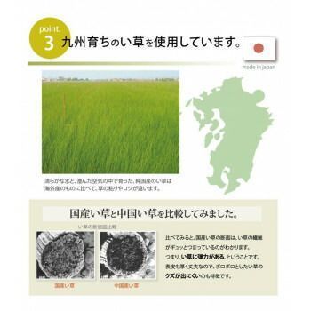 い草ごろ寝マット ノア40 Sらくらく ブルー 約90×200cm 7557609 MARWIL-DEMENAGEMENTS_CH