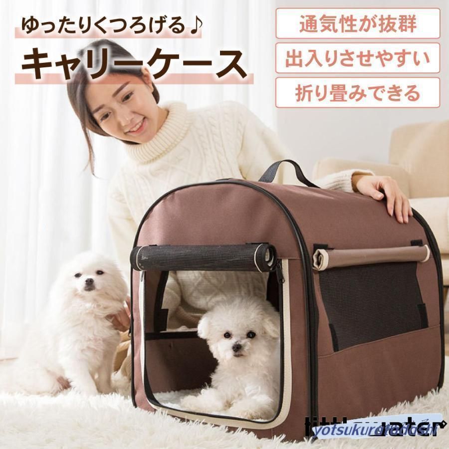 キャリーバッグ キャリー