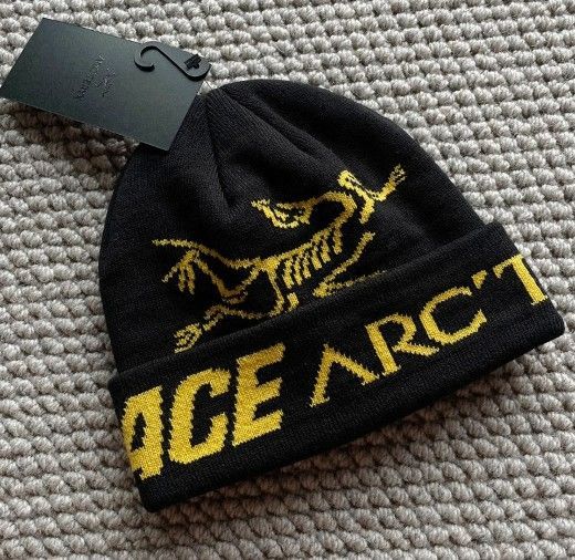 ❤大人気 PALACE x ARC'TERYX ニット 帽子 ビーニー 男女兼用