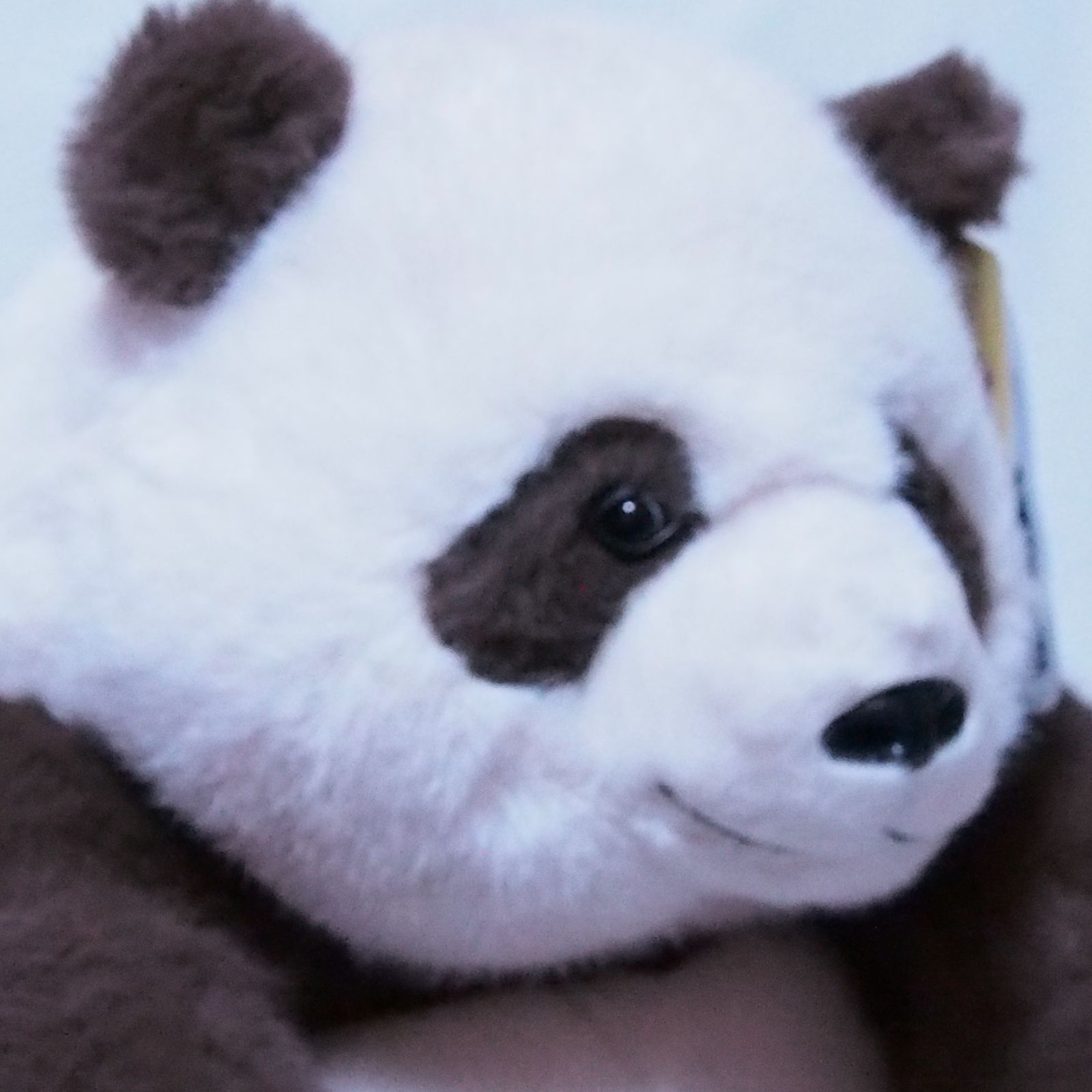 七仔くんぬいぐるみ④