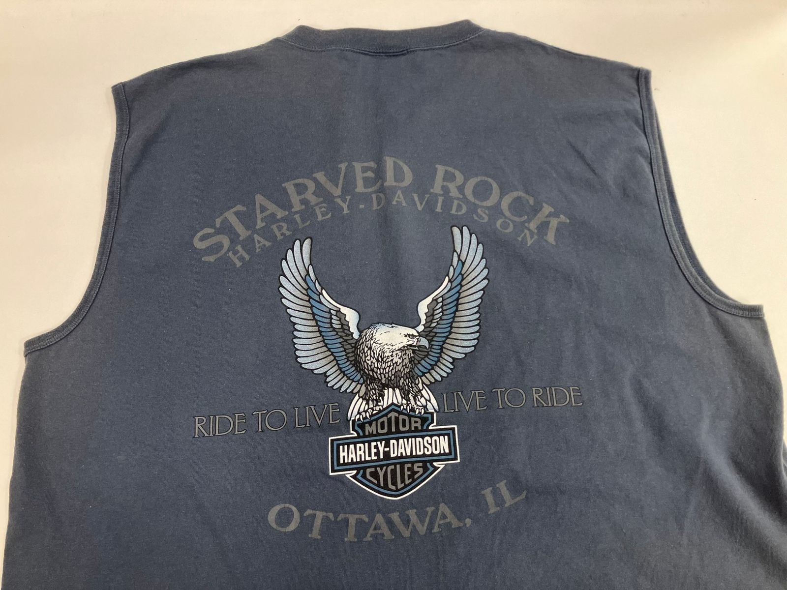 m*t様 Harley-Davidson ハーレーダビッドソン イーグル フレイ