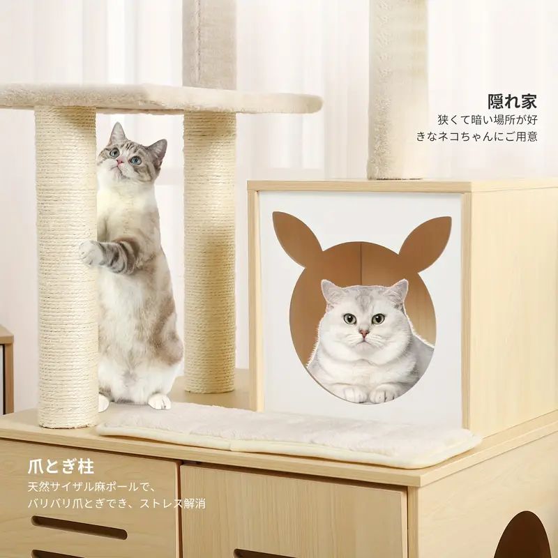 多頭飼い