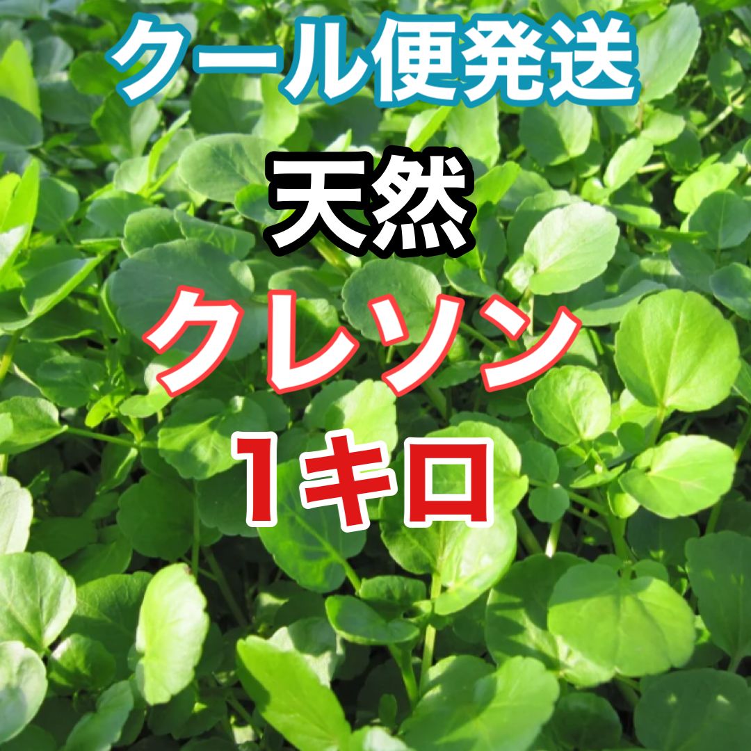 10キロ わき水で育った清流天然クレソン 無農薬 - 野菜