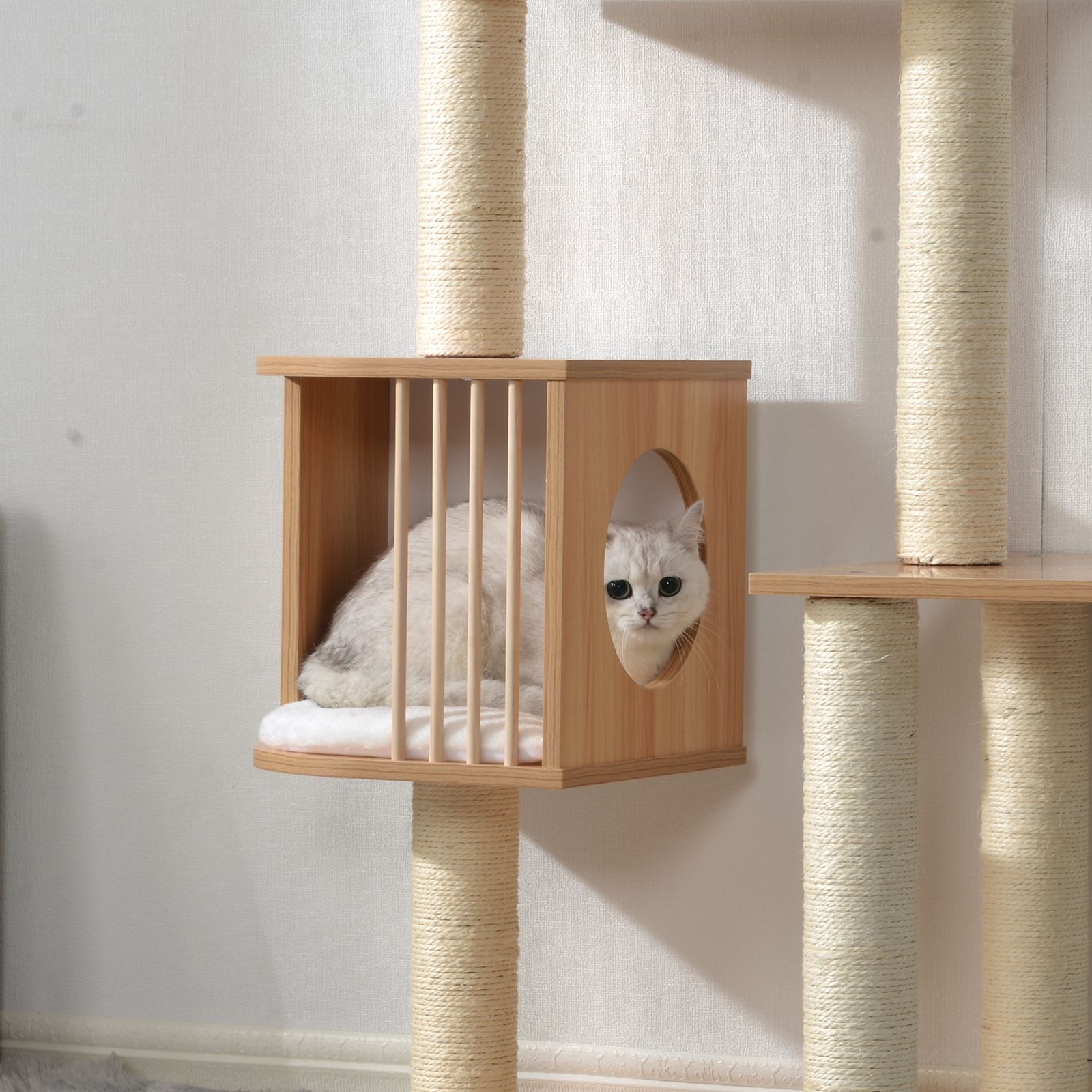 キャット 猫