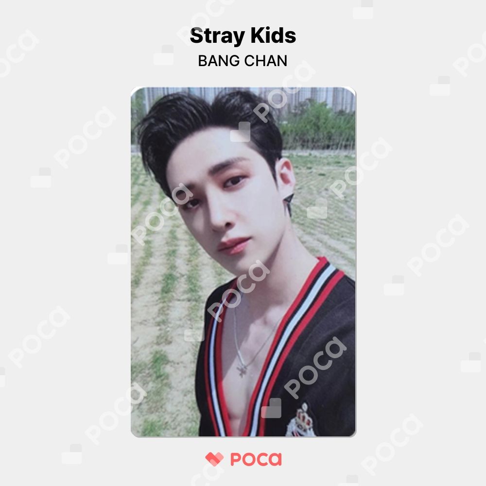 straykids maxident bdm バンチャン　特典　トレカ　スキズ straykids maxident bdm バンチャン 特典 トレカ スキズ