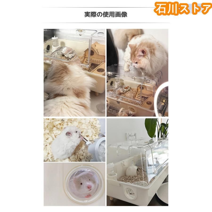 小動物