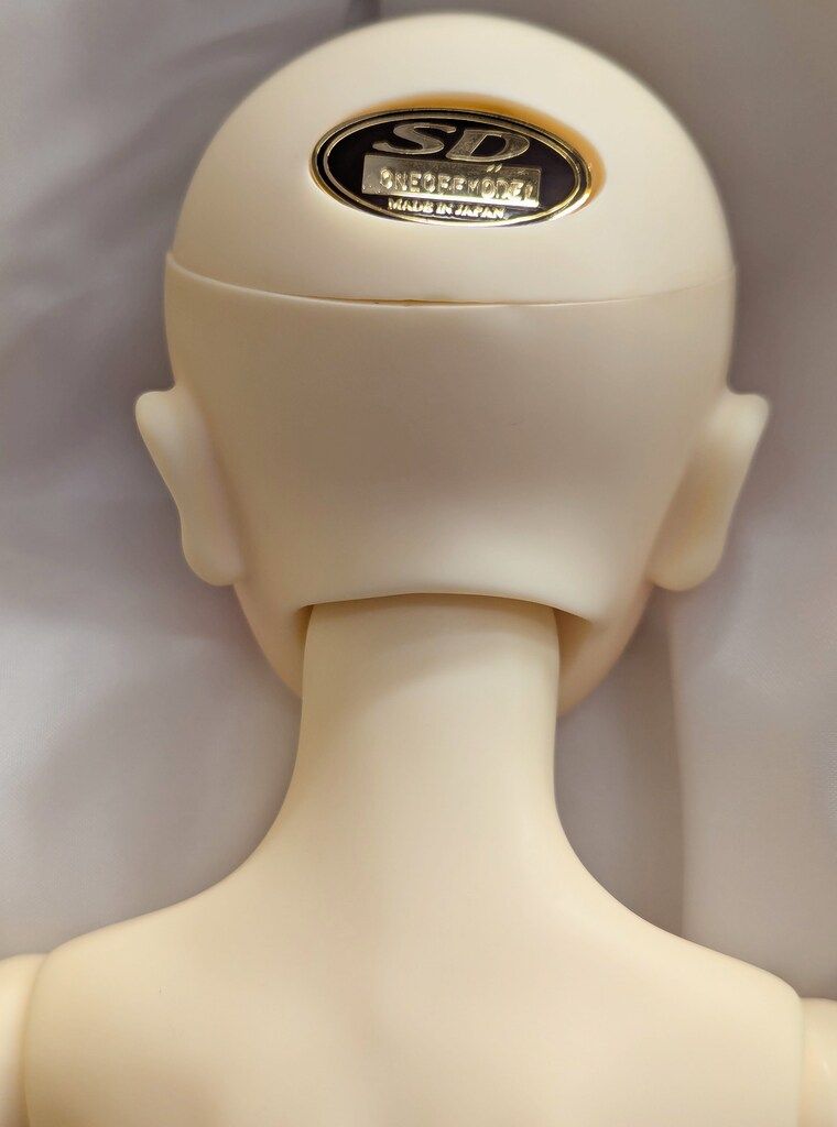 ワンオフモデル