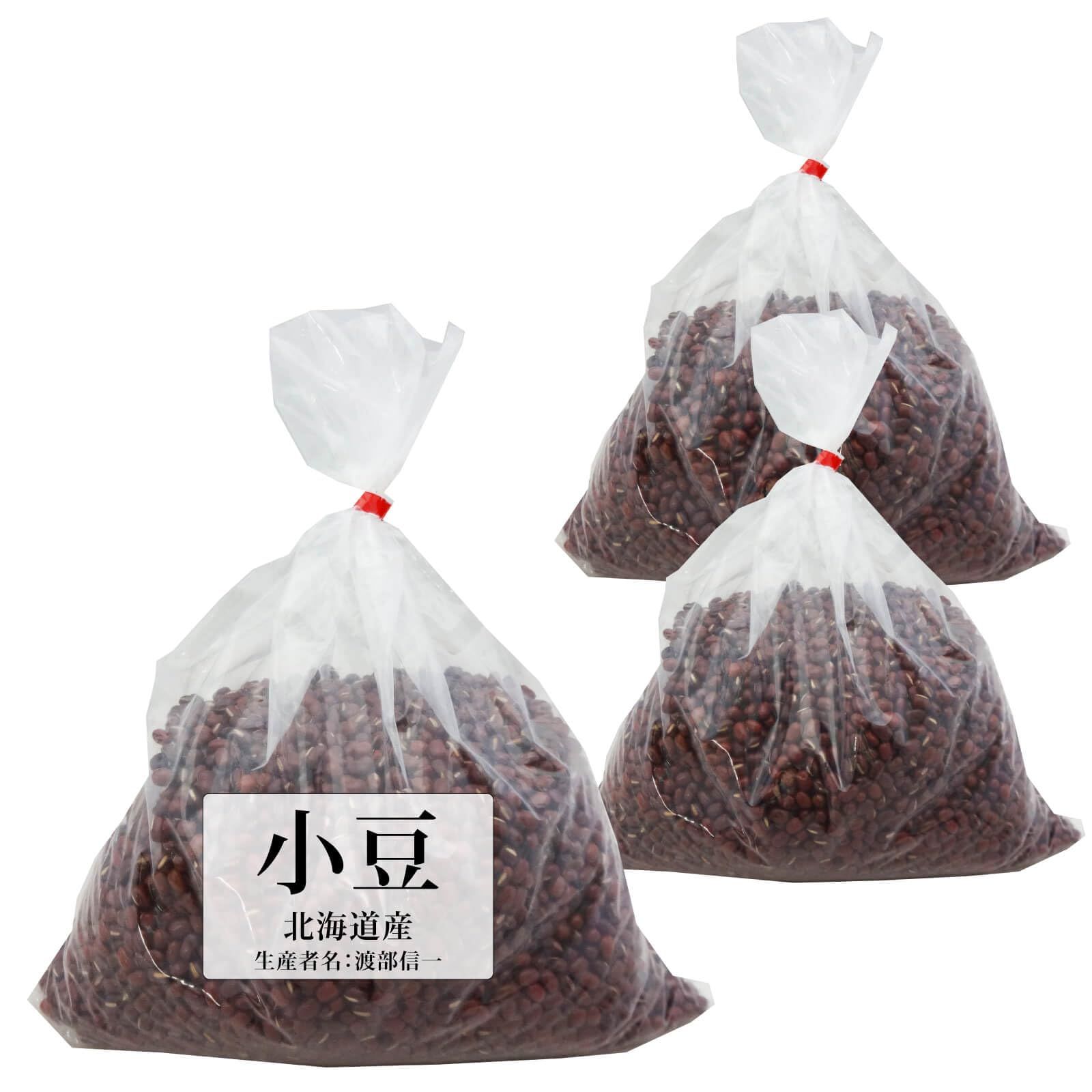 モクレン ガールマグノリア4年生 毎年開花 約90㌢宅急便 モクレン