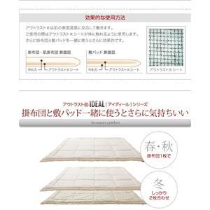 ダブル IDEAL
