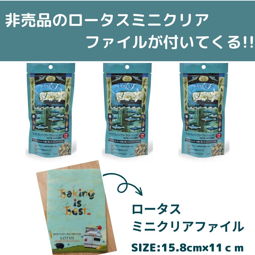 おまけ付き］ロータス グレインフリー フィッシュレシピ 小粒80g×3個