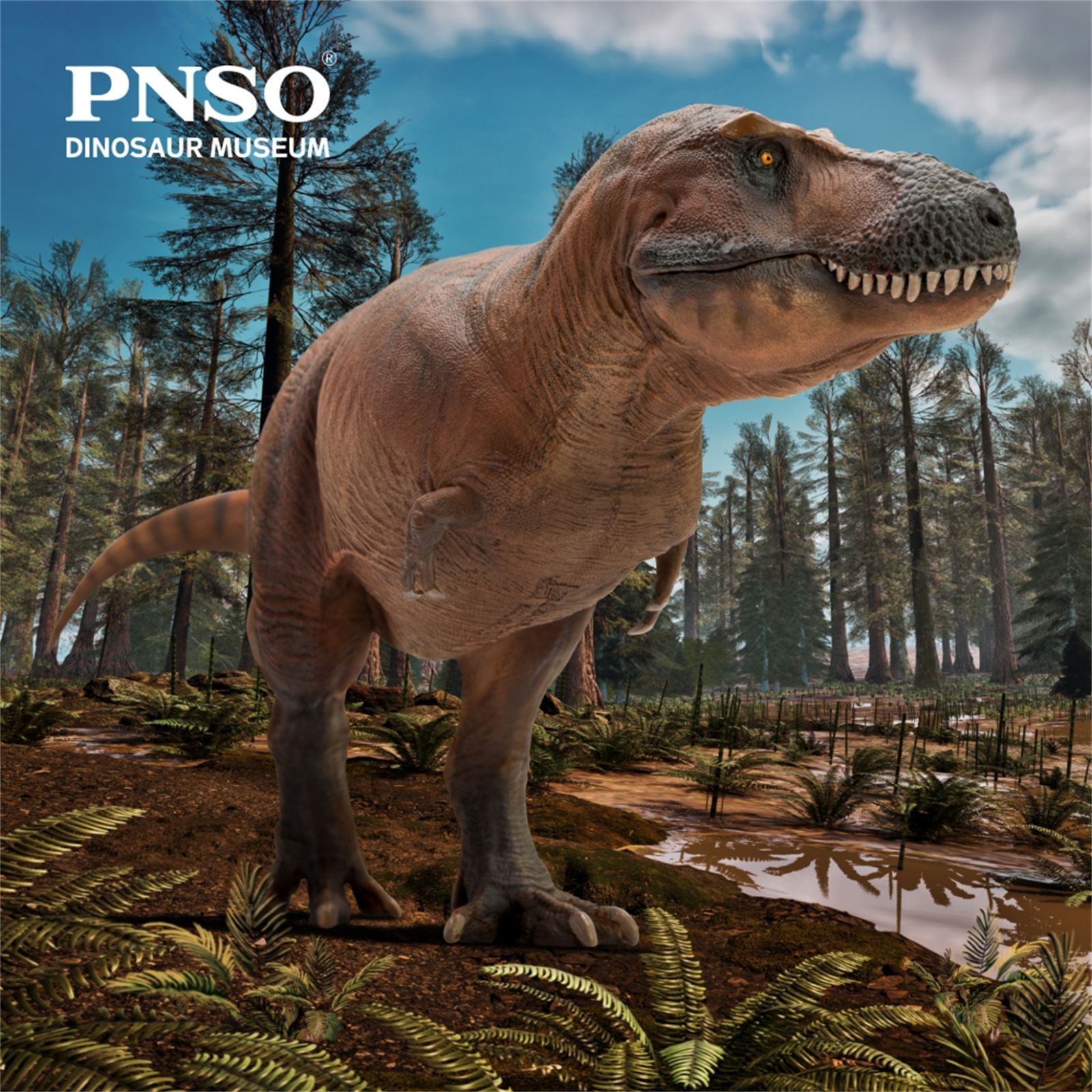 PNSO 恐竜博物館 1/35 サイズ ティラノサウルス T-REX