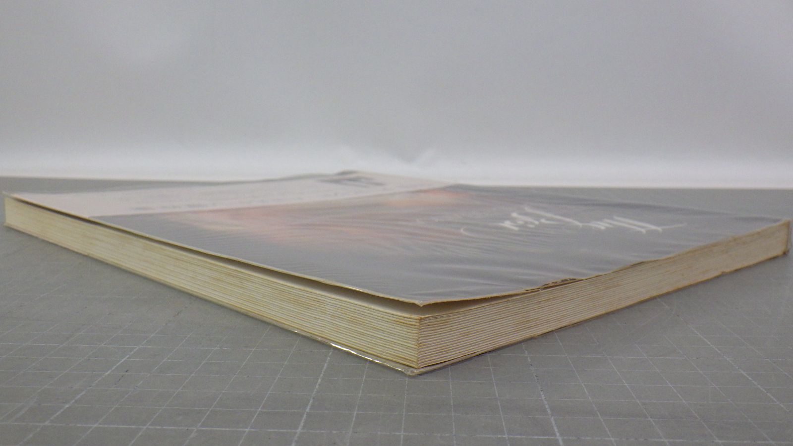 デビッド・ハミルトン 傑作集(日本語版) 独占出版 1976年発行