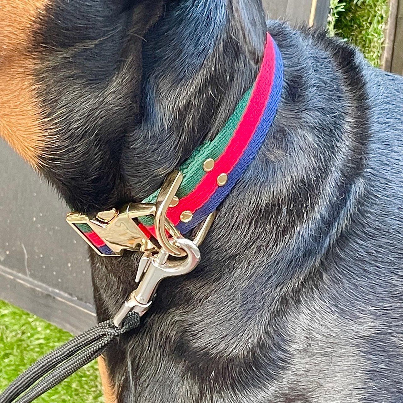 ダミエデザイン 小型犬 首輪 リード セット アズール LOUIS VUITTON