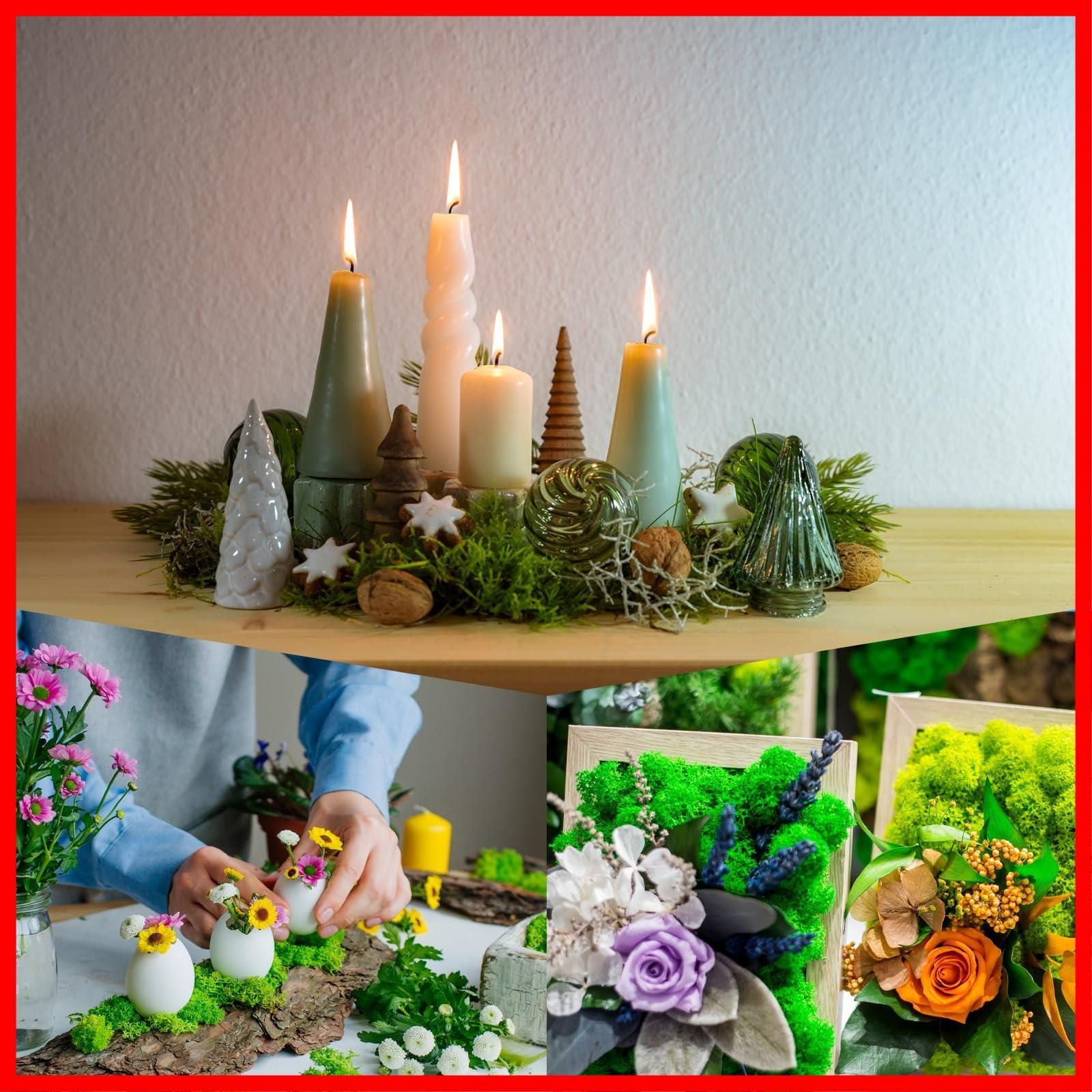 1.8オンス フェイクモス PATIKIL プリザーブドトナカイモス 人工苔地衣センターピース装飾 フェイクモス 鉢植え クリスマス クラフト用 エメラルド緑