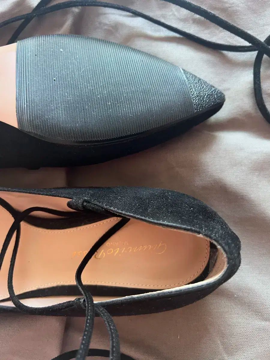 gianvito