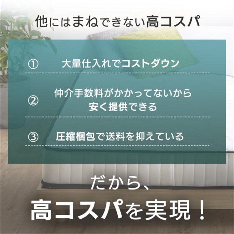 セミダブル