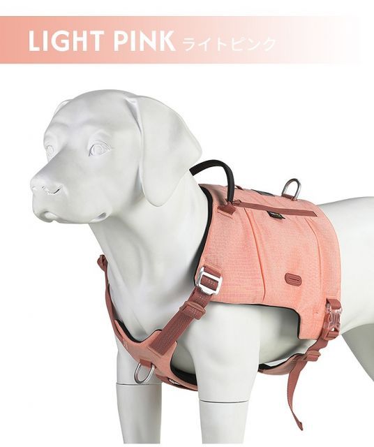 小型犬 中型犬