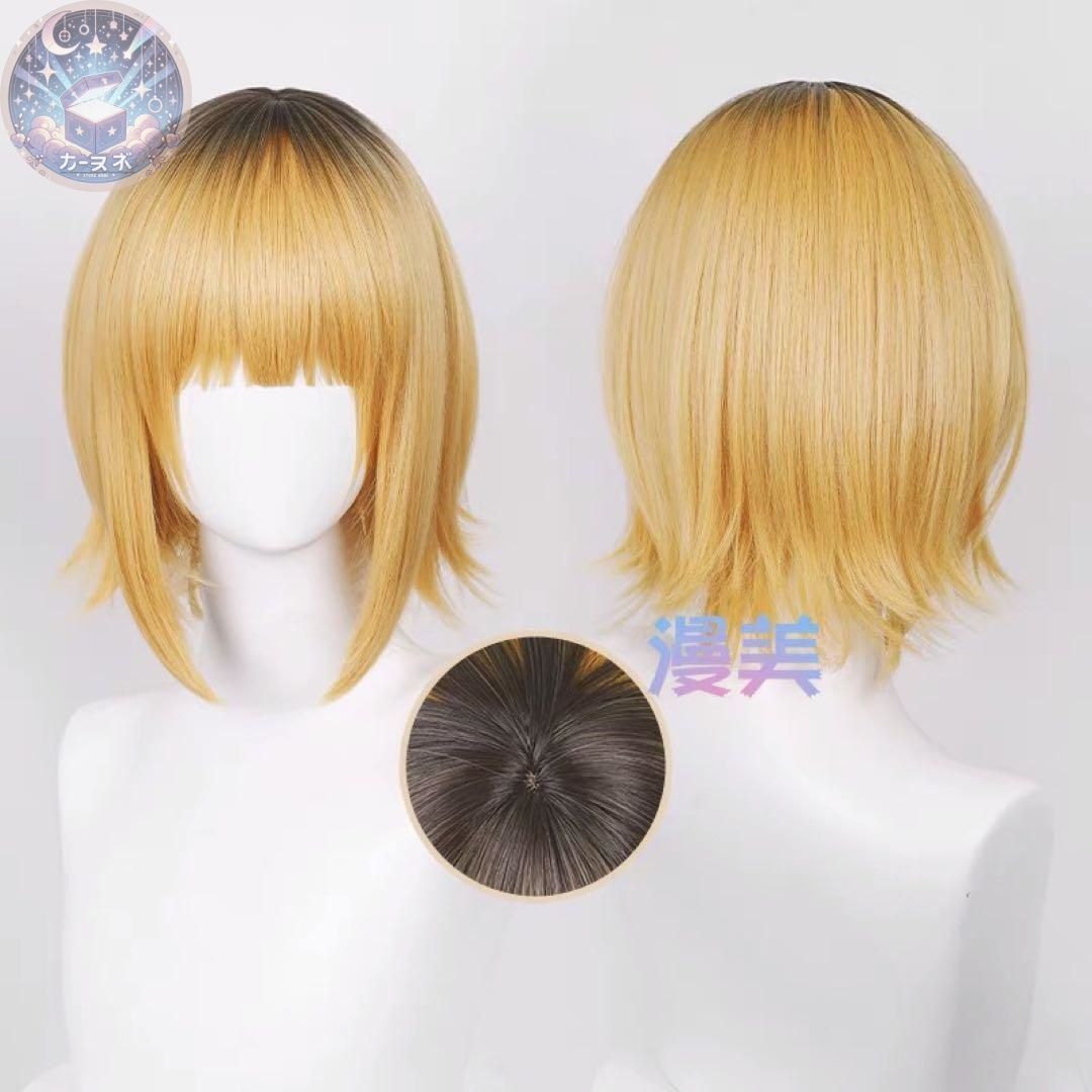 コスプレ衣装 ウィッグ追加可