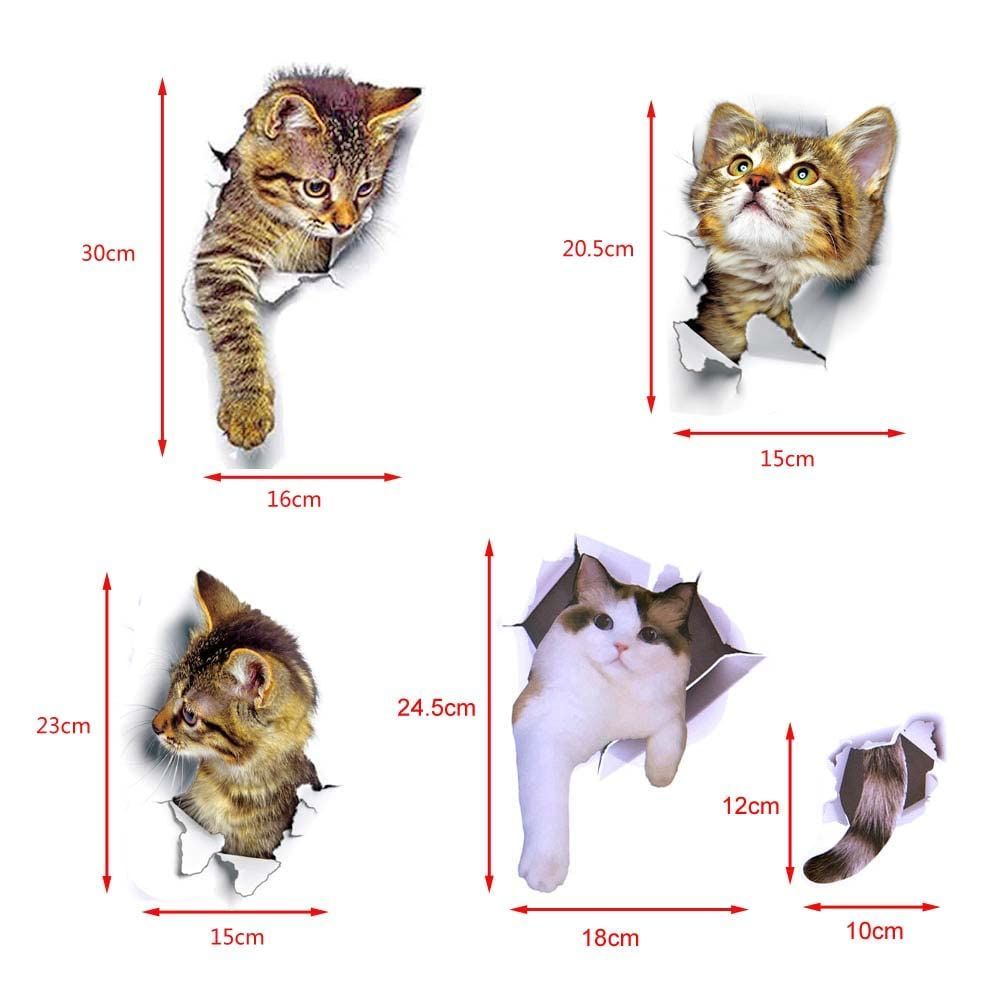 動物 猫