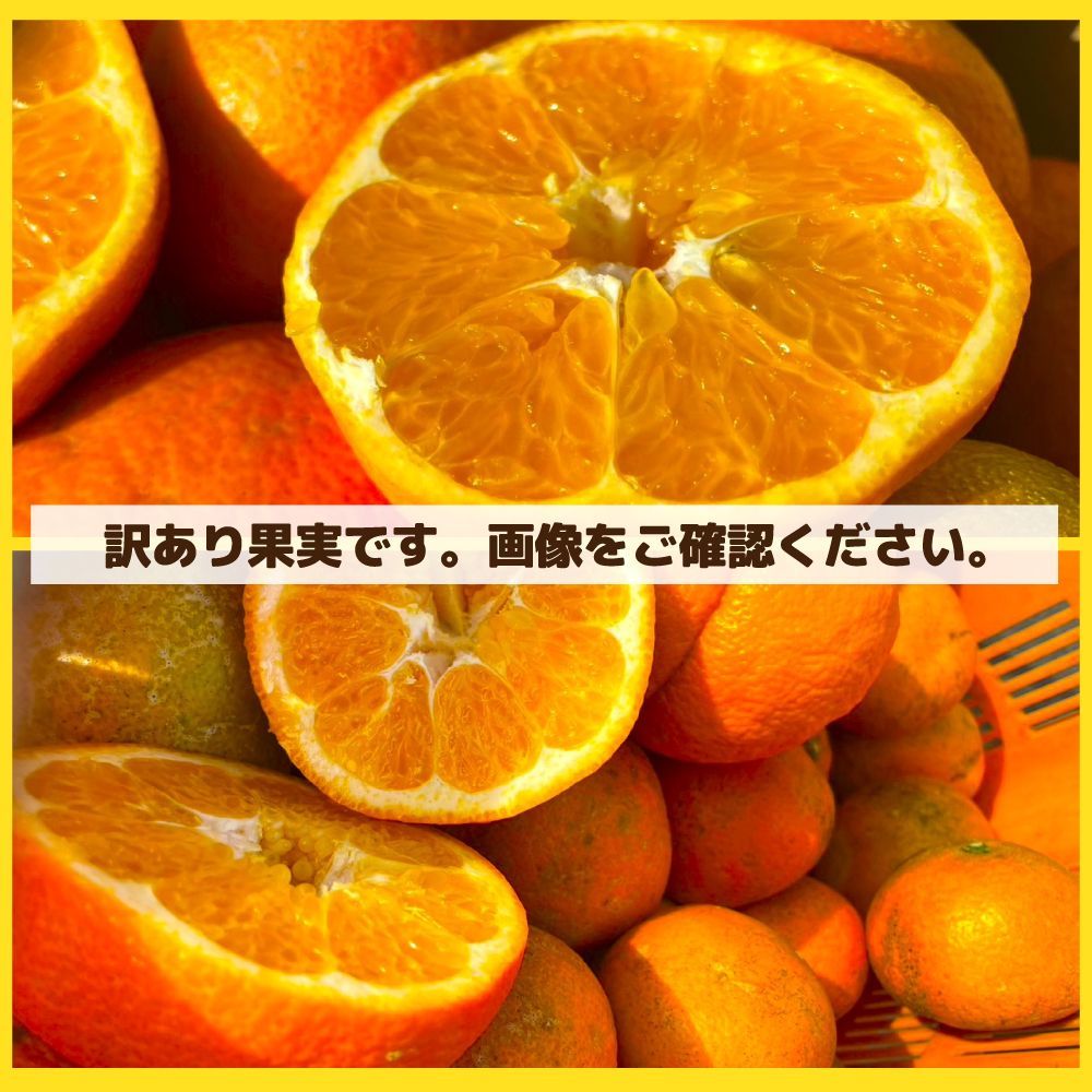 のサムネイル