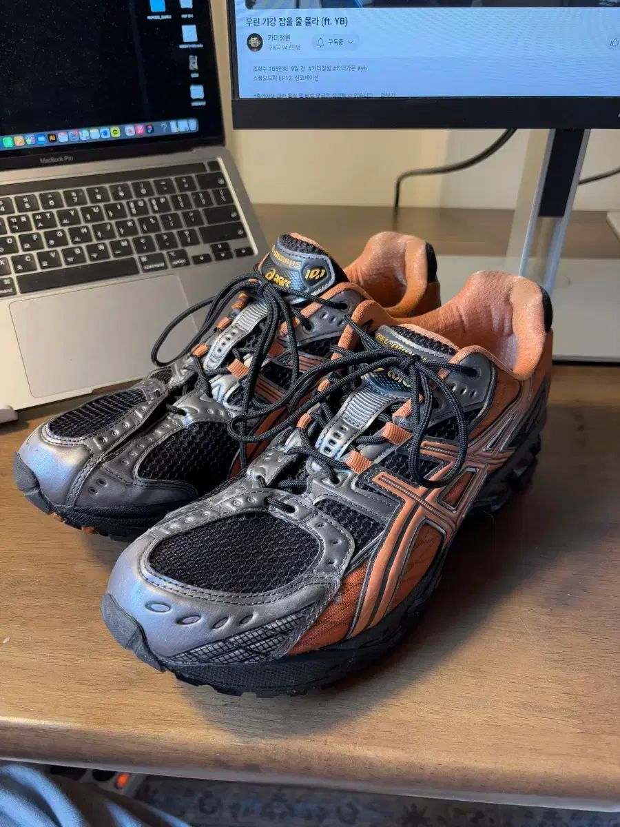 Asics アシックス ゲル ニンバス 10 1 オレンジ asics gel ー nimbus 290