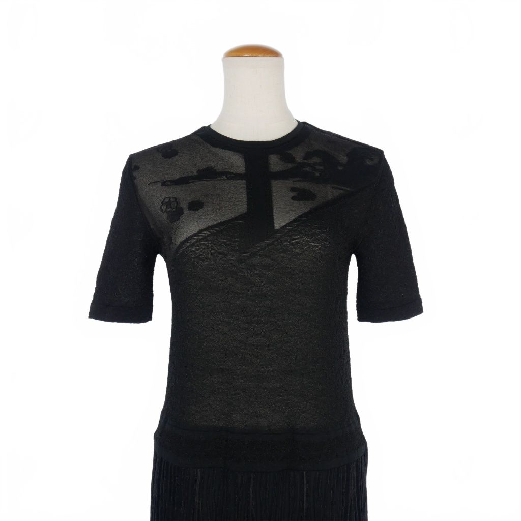 マメクロゴウチ Mame Kurogouchi 24SS Landscape Graphic Sheer  