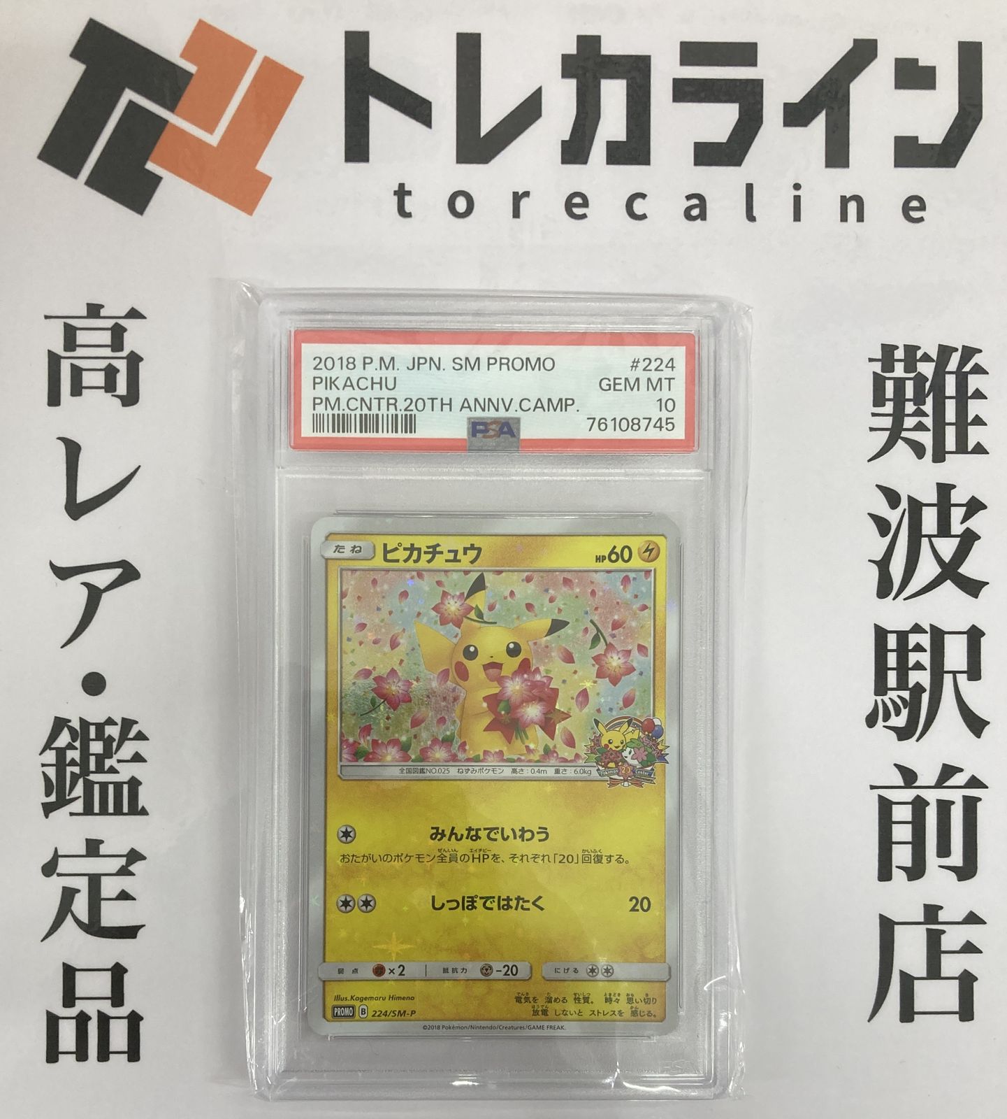 224/SM-P ピカチュウ： ポケモンセンター20周年記念キャンペーン