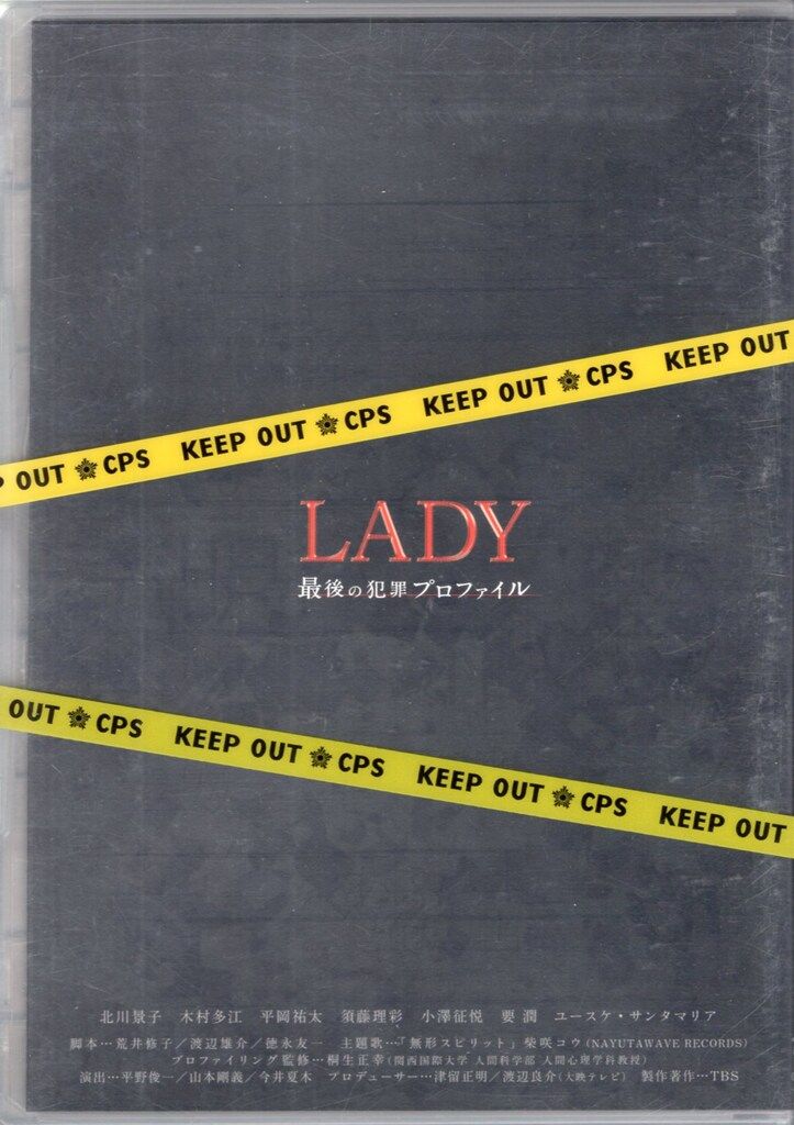 未開封品 北川景子 木村多江 平岡祐太 LADY 最後の犯罪プロファイル 全
