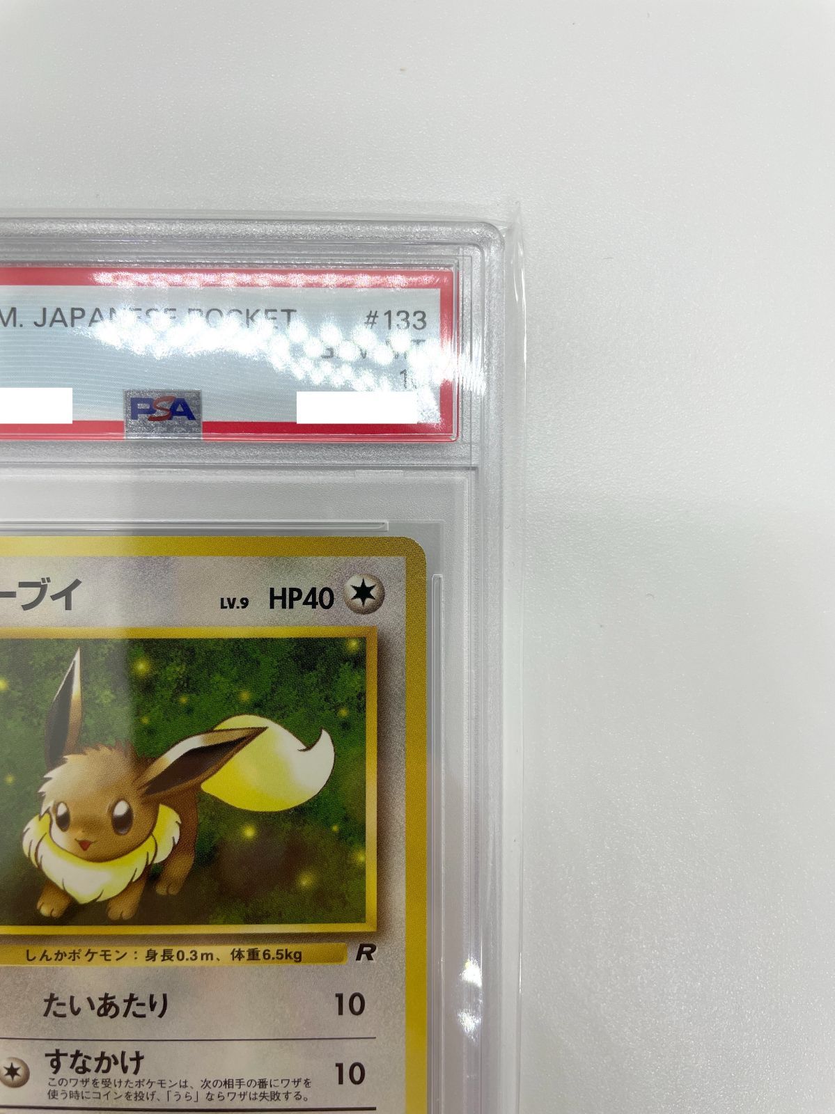 PSA10】ポケモンカード 旧裏面 イーブイ LV.9 ポケカ 拡張パック第4弾 