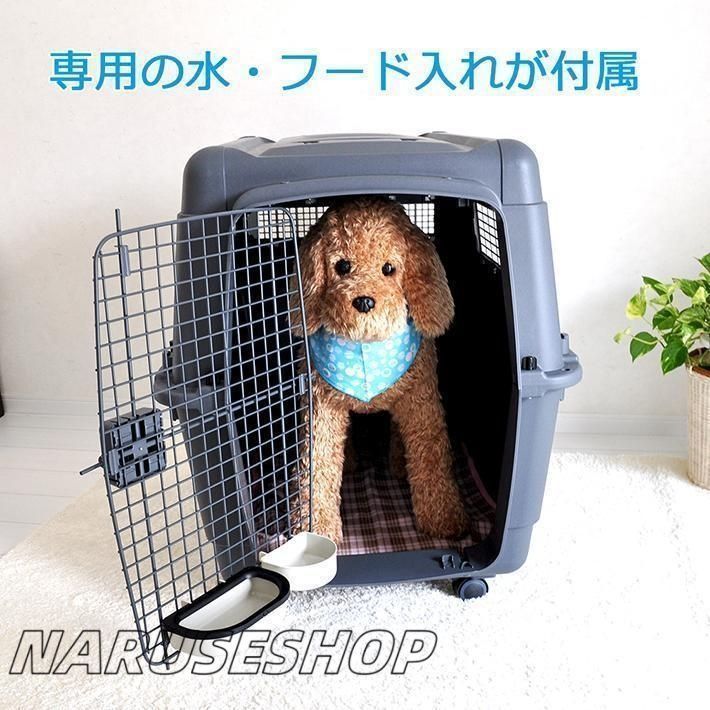 超大型犬