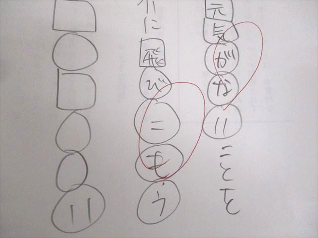 SAPIX サピックス 小6 志望校別特訓 国語 ウィークリーサピックス WS