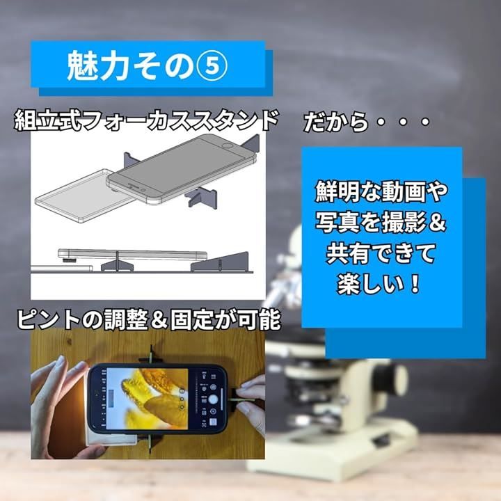 顕微鏡 小学生