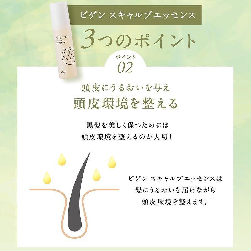 mL エリオジクチオンアングスチフォリウム葉