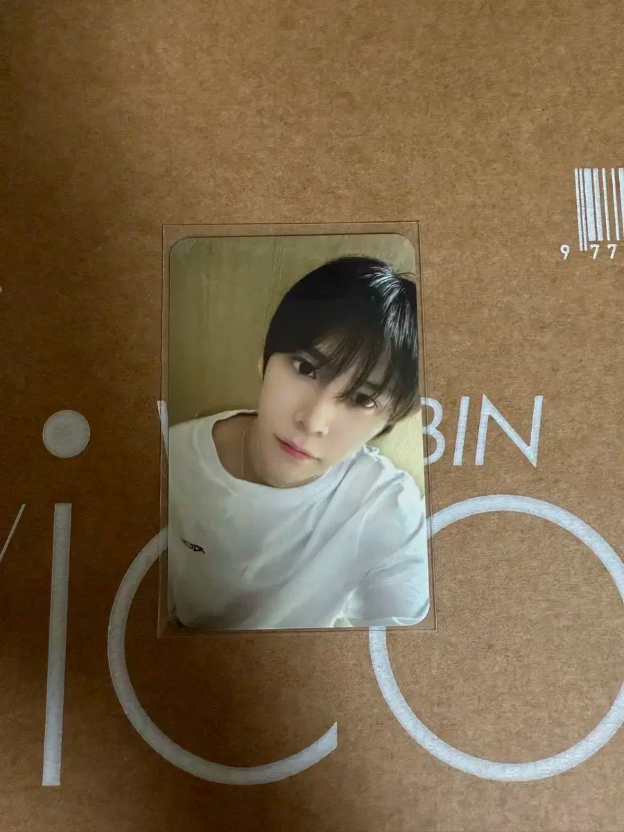 RIIZE ソヒ バレンタインデー Tシャツのトレカ RIIZE ソヒ バレンタインデー Tシャツのトレカ RIIZE ソヒ