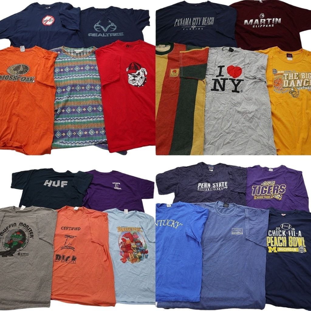 古着卸 まとめ売り カラーmix 半袖Tシャツ 20枚セット メンズ XL キャラクター チームロゴ リアルツリー モッシーオーク 古着 NC3846