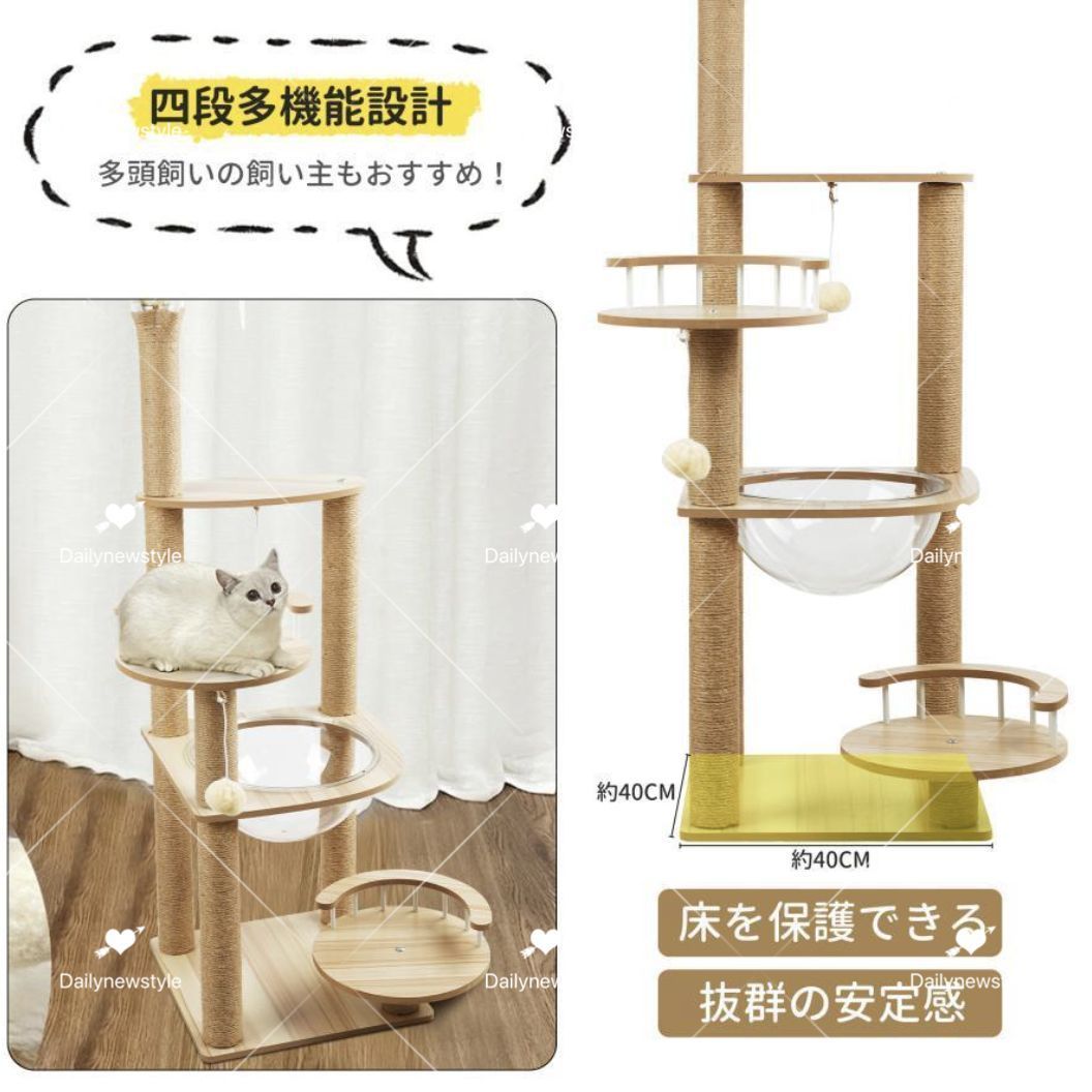 大型猫 ステップ