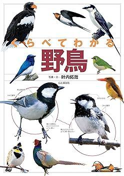 【中古】(非常に良い)くらべてわかる 野鳥 (くらべてわかる図鑑) 叶内 拓哉