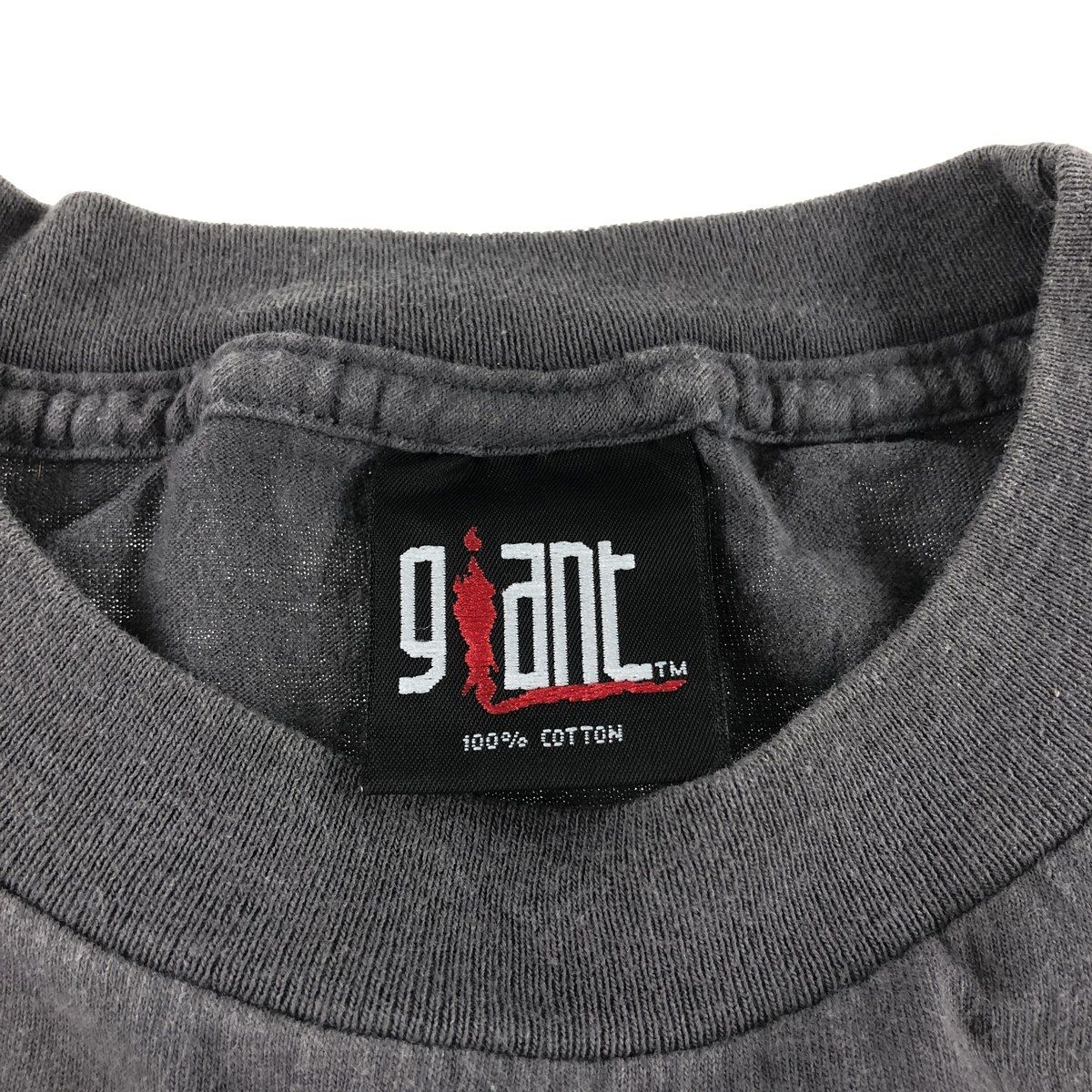 古着 90年代 ジャイアント GIANT HOOTIE and THE BLOWFISH バンドT 