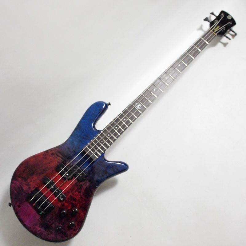 SPECTOR NS