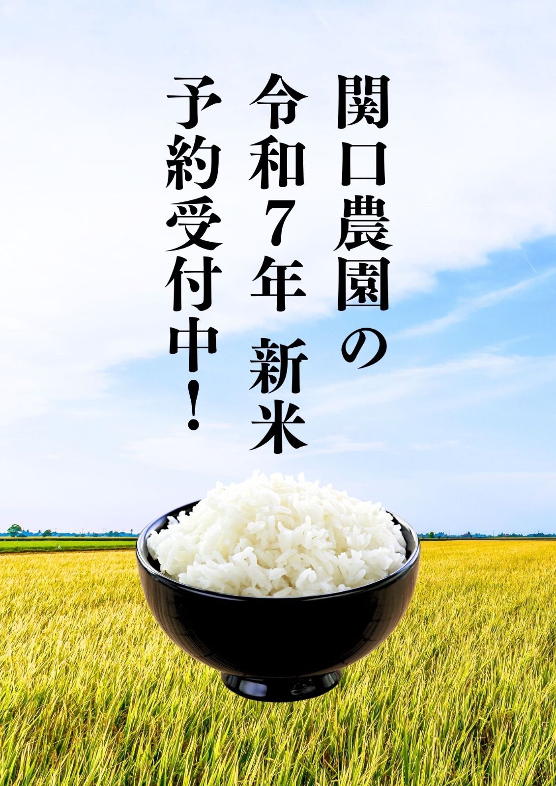 予約30キロ玄米 新潟コシヒカリ 令和7年発送は9月下旬〜