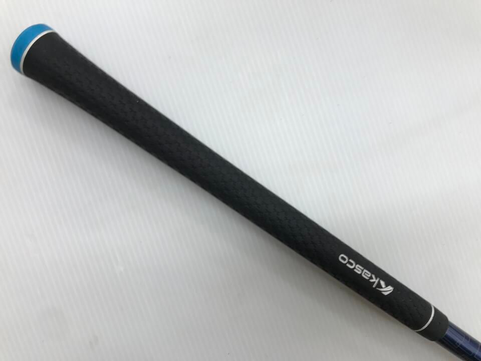 DP-231