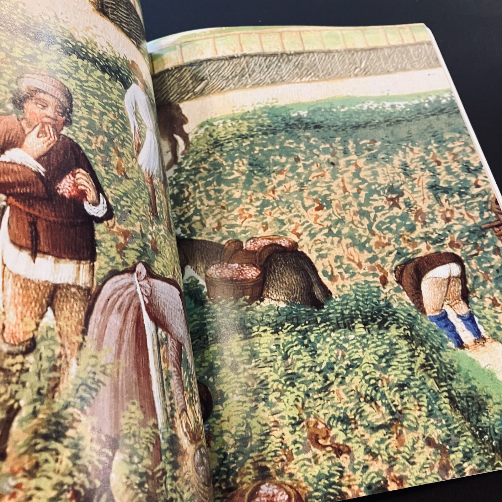 中世写本 ベリー公のいとも豪華なる時祷書 The Tres Riches