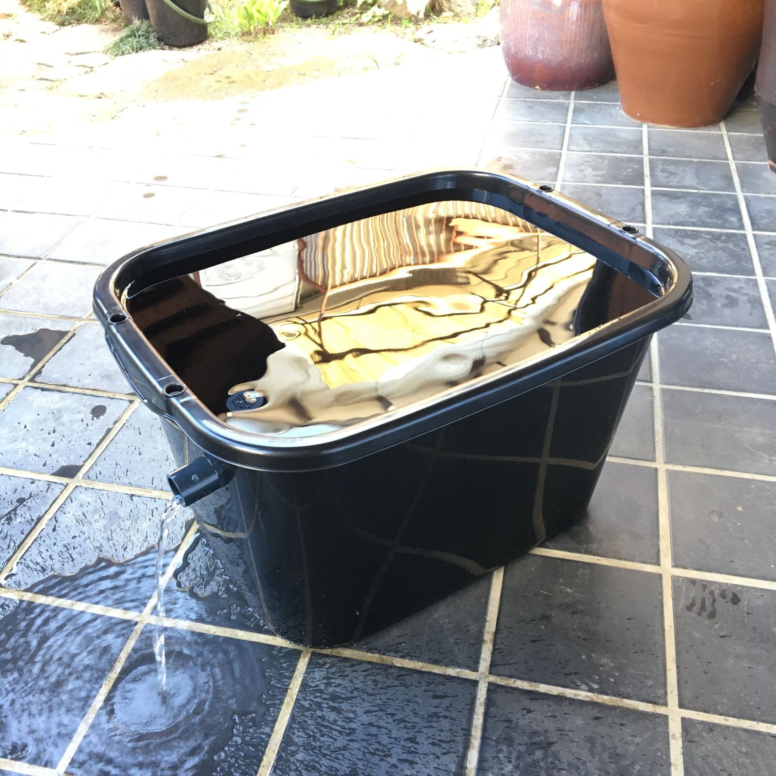 水槽 越冬