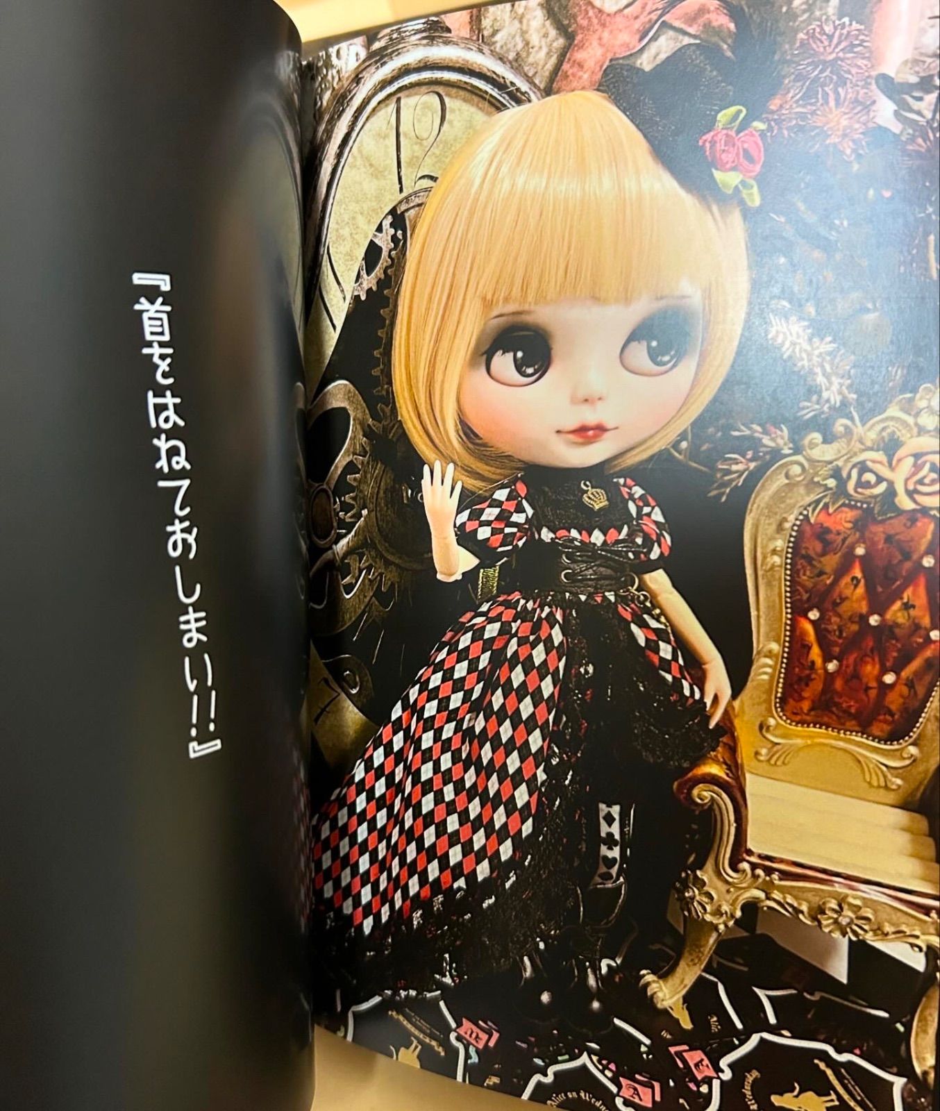 Clownberry Doll】写真集 ブライス アウトフィット - メルカリ