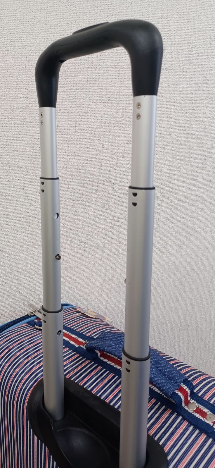 コロコロキャリーL キャリーバッグ