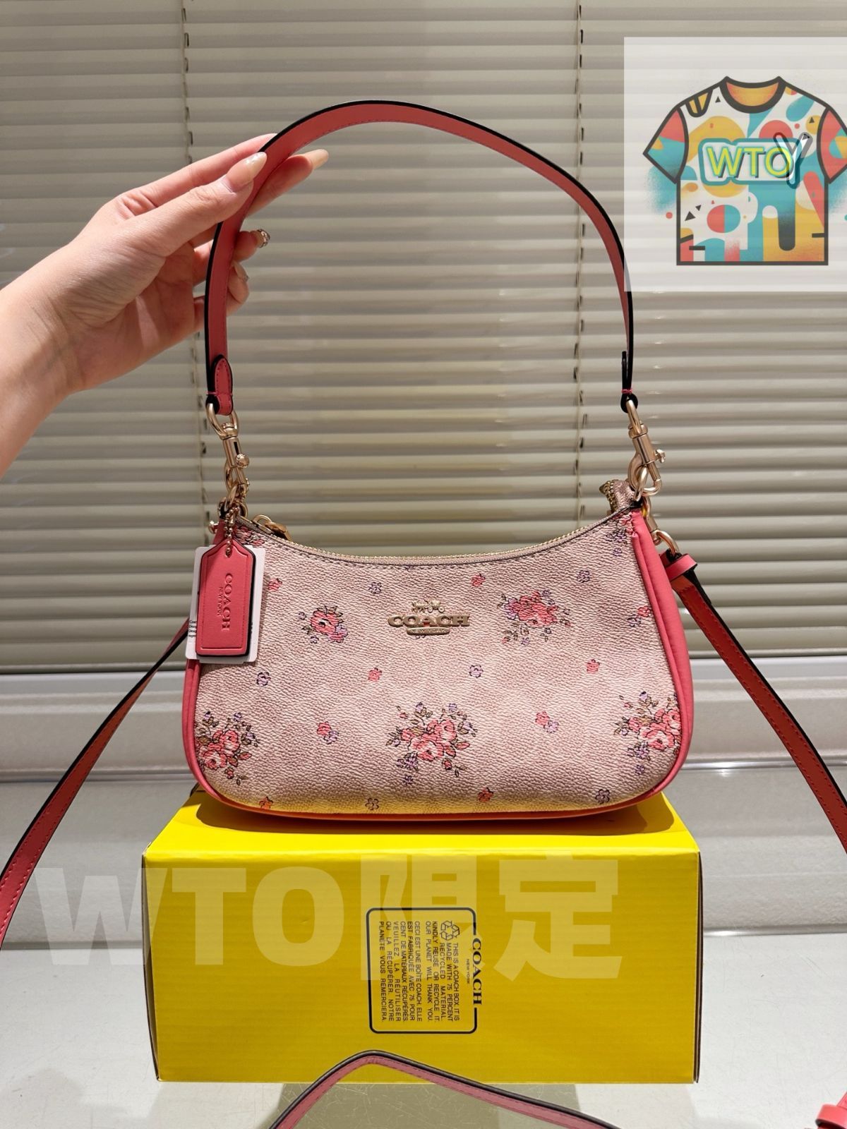 今日 COACH Teri ショルダーバッグ アンダーアームスタイル -WTO輸入1